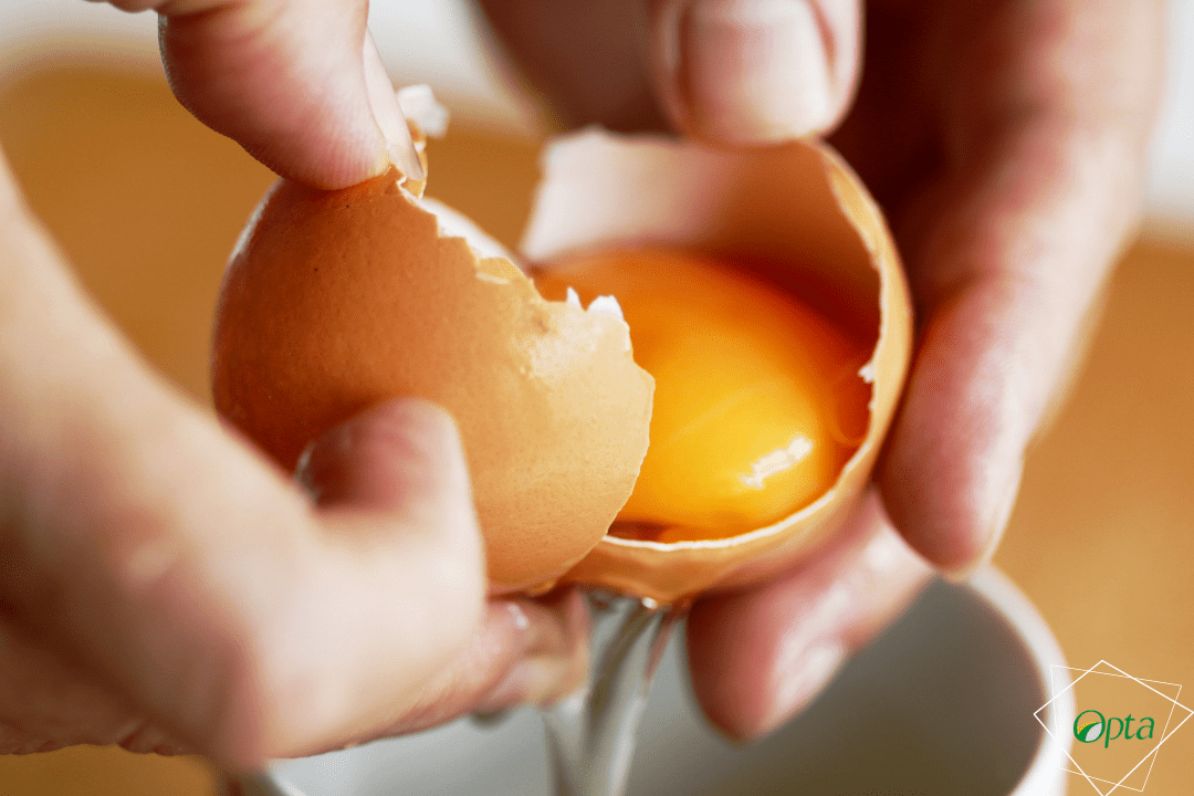 Canthaxanthin – Red Egg Pigment