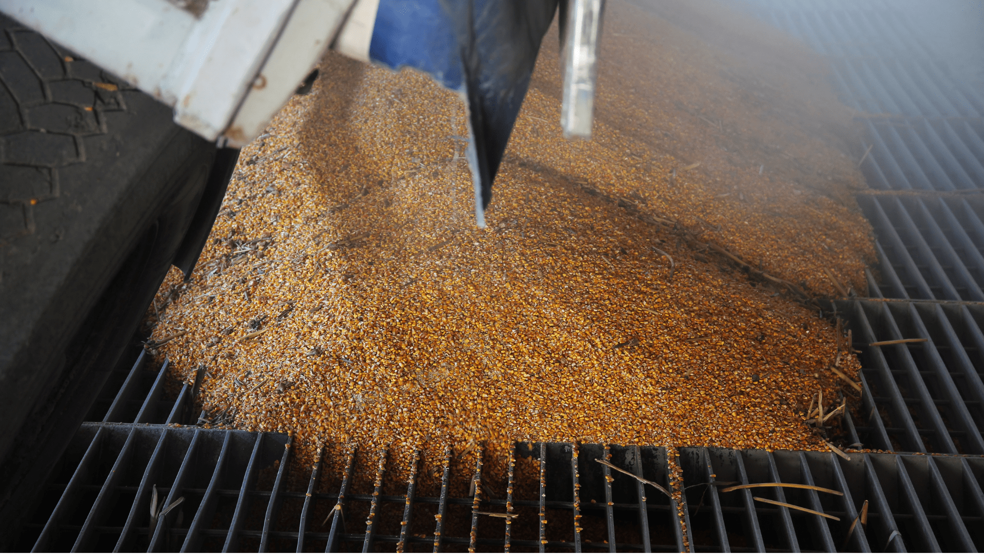 Importance of the quality of raw materials in the production of feed